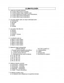 Tema de ¿Qué es la inversión térmica?