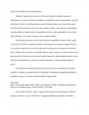 ¿Qué es el proceso de escritura?