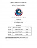 Laboratorio de Procesos Industriales Como actuan los