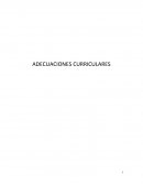 Adecuaciones curriculares. Plan de estudios de educacion basica 2011