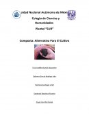 Los Fertilizantes son sustancias las cuales contienen nutrientes esenciales para el crecimiento de las plantas es una reposición o aporte artificial de nutrientes