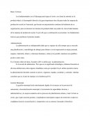 Cuales son las Bases teoricas de la administración