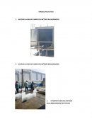 TRABAJO APLICATIVO - HOJA DE CAMPO DEL MÉTODO RULA