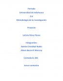 Metodología de la investigación Proyecto