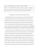 Como es Reseña- El peligro de una sola historia