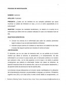 PROCESO DE INVESTIGACIÓN Alzheimer