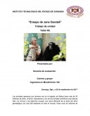 “Ensayo de Jane Goodall”