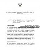 INFORME ELEVADO AL SR. SUBDIRECTOR TÉCNICO CIENTÍFICO DE LA POLICÍA JUDICIAL
