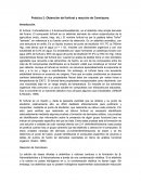 Práctica 2: Obtención del furfural y reacción de Cannizzaro.