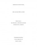 JURISDICCIÓN CONSTITUCIONAL INTRODUCCIÓN AL DERECHO