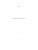 RESEÑA DE LA ARGUMENTACIÓN ESCRITA