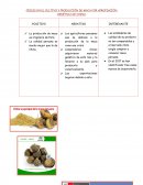 CRISIS EN EL CULTIVO Y PRODUCCIÓN DE MACA EN EL PERÚ POR APROPIACIÓN GENÉTICA DE CHINA