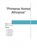Es el primer representante del género Homo