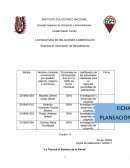 Simulador de marketing ensayo