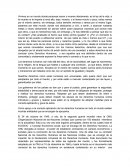 Derechos Humanos , opinion