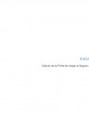 Cálculo de la Prima de riesgo al Seguro social