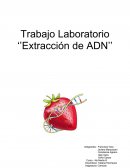 Trabajo Laboratorio ‘’Extracción de ADN’’