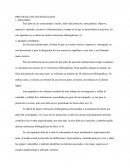 PROTOCOLO DE INVESTIGACION RESUMEN Y MARCO TEÓRICO