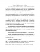 El uso del álgebra en la vida cotidiana