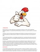 Nuestro producto de comida rápida tiene una combinación innovadora con cuatro tipos de ingredientes agradables al paladar