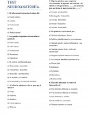 TEST NEUROANATOMÍA. (sin resp.)