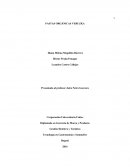 Gestión Hotelera y Turística Tecnología en Gastronomía y Sommelie