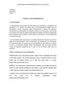 CONSULTA DE ESCENOGRAFÍA La escenografía