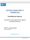 Factibilidad de negocios Actividad 3- El presupuesto de capital y los flujos de efectivo.