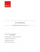 Tesis PLAN DE MARKETING
