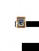 Uso y aplicación eficiente de los Microorganismo Eficientes en tratamientos de cuerpos de aguas contaminados por efluentes domésticos.