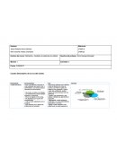 Actividad 4 Definicion y medicion de sistemas de calidad