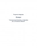 Consecuencia Sociales y Culturales de un Fenómeno Natural