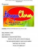 PROYECTO FERIA DE CIENCIAS y TECNOLOGIA