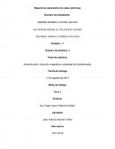 Autoinducción, inducción magnética y polaridad del transformador