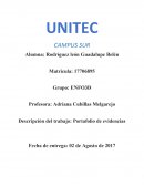 Descripción del trabajo: Portafolio de evidencias