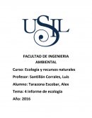 Análisis de un caso de contaminación ambiental y derechos indígenas