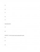 GRÁFICO 5. Esquema conceptual de la problemática ambiental