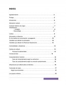 Monografia alienacion.