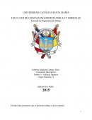 Informe Salida de Campo- Puno