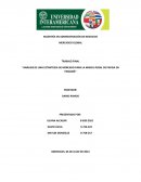 Análisis de una estrategia de mercado para la marca Rosal de Papisa en Panamá