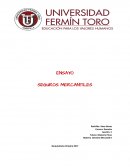 ENSAYO SEGUROS MERCANTILES