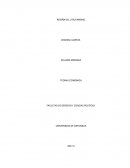 ¿Según su criterio, cuál es la tesis propuesta por el autor?