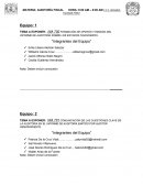 TEMA A EXPONER: NIA 700 FORMACIÓN DE OPINIÓN Y EMISIÓN DEL INFORME DE AUDITORÍA SOBRE LOS ESTADOS FINANCIEROS