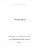 PASOS PARA IMPLEMENTAR EL SG-SST