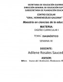 DIAGNÓSTICO CONTEXTUAL, INSTITUCIONAL Y GRUPAL