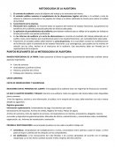 METODOLOGIA DE LA AUDITORIA