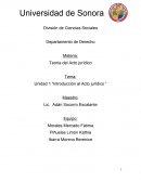 Introduccion al acto juridico