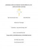 Ensayo Identidad personal y nacional