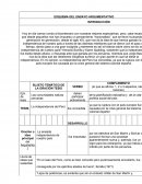 ESQUEMA DEL ENSAYO ARGUMENTATIVO