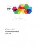 Análisis del consumidor integradora